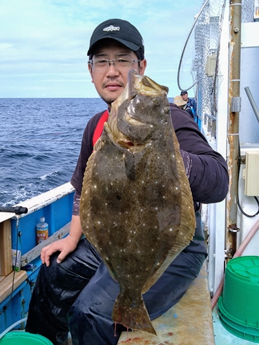 ヒラメの釣果