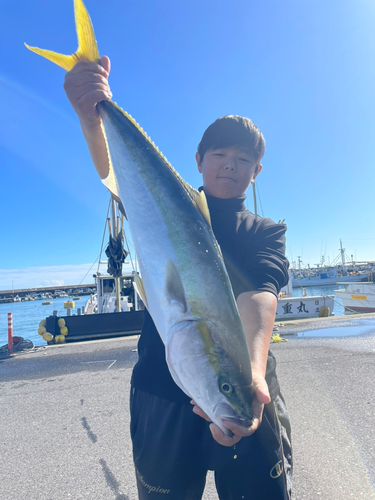 ワラサの釣果