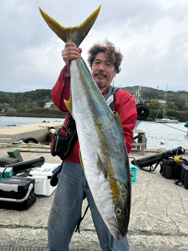 ヒラマサの釣果