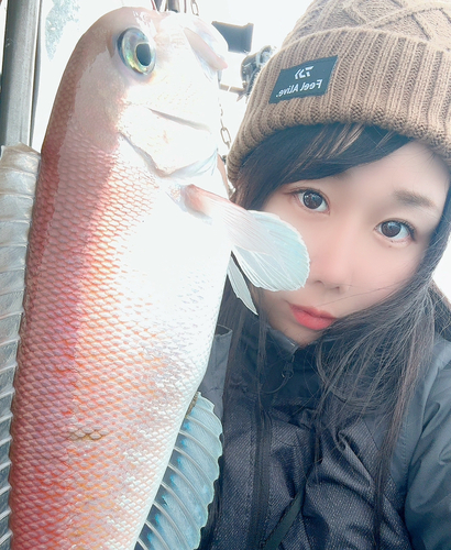 シロアマダイの釣果