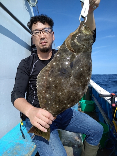 ヒラメの釣果