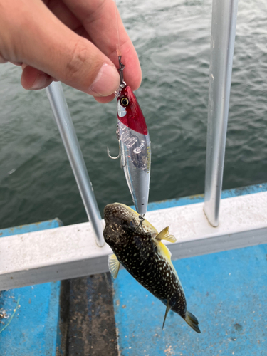 新地町海釣り公園