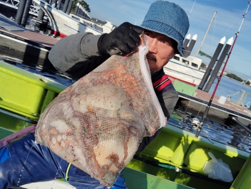 マダコの釣果