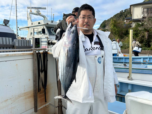 カツオの釣果