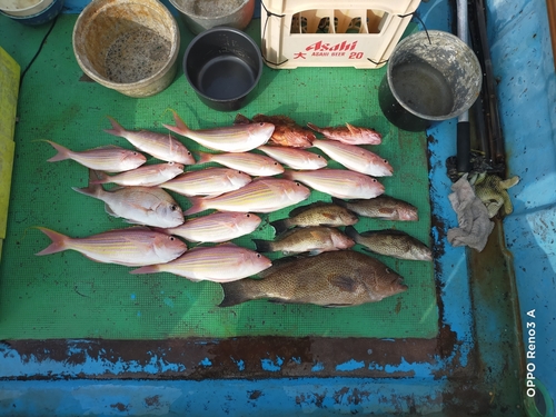 オオモンハタの釣果