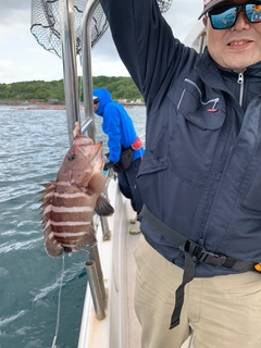 マハタの釣果