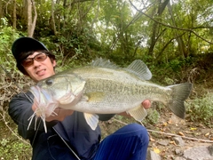 ブラックバスの釣果