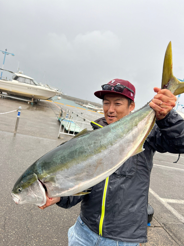 ブリの釣果