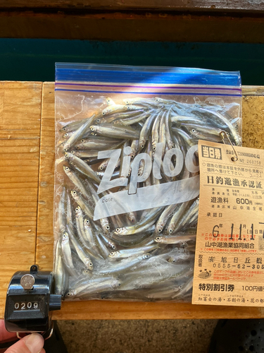 山中湖