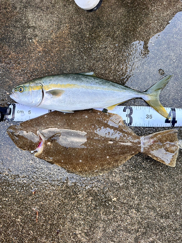 釣果