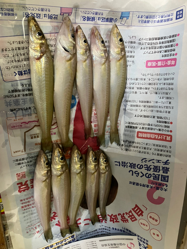 しまなみ海道