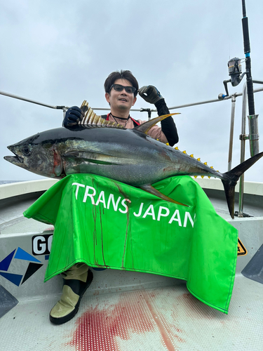 キハダマグロの釣果