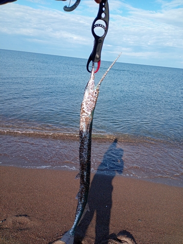 柿崎中央海水浴場