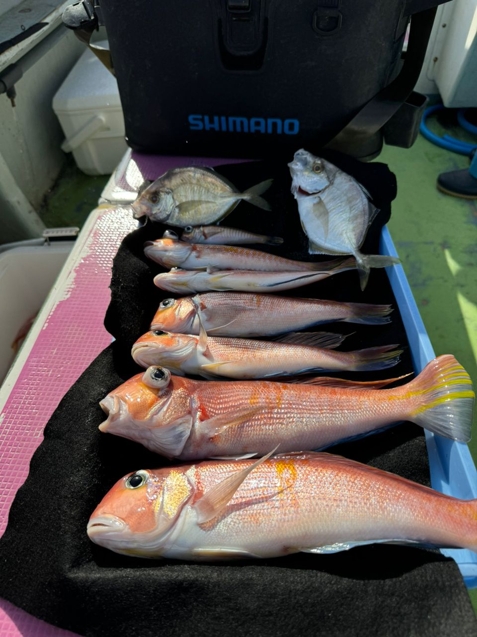 kunchanさんの釣果 2枚目の画像