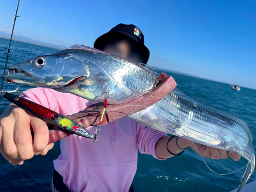 タチウオの釣果