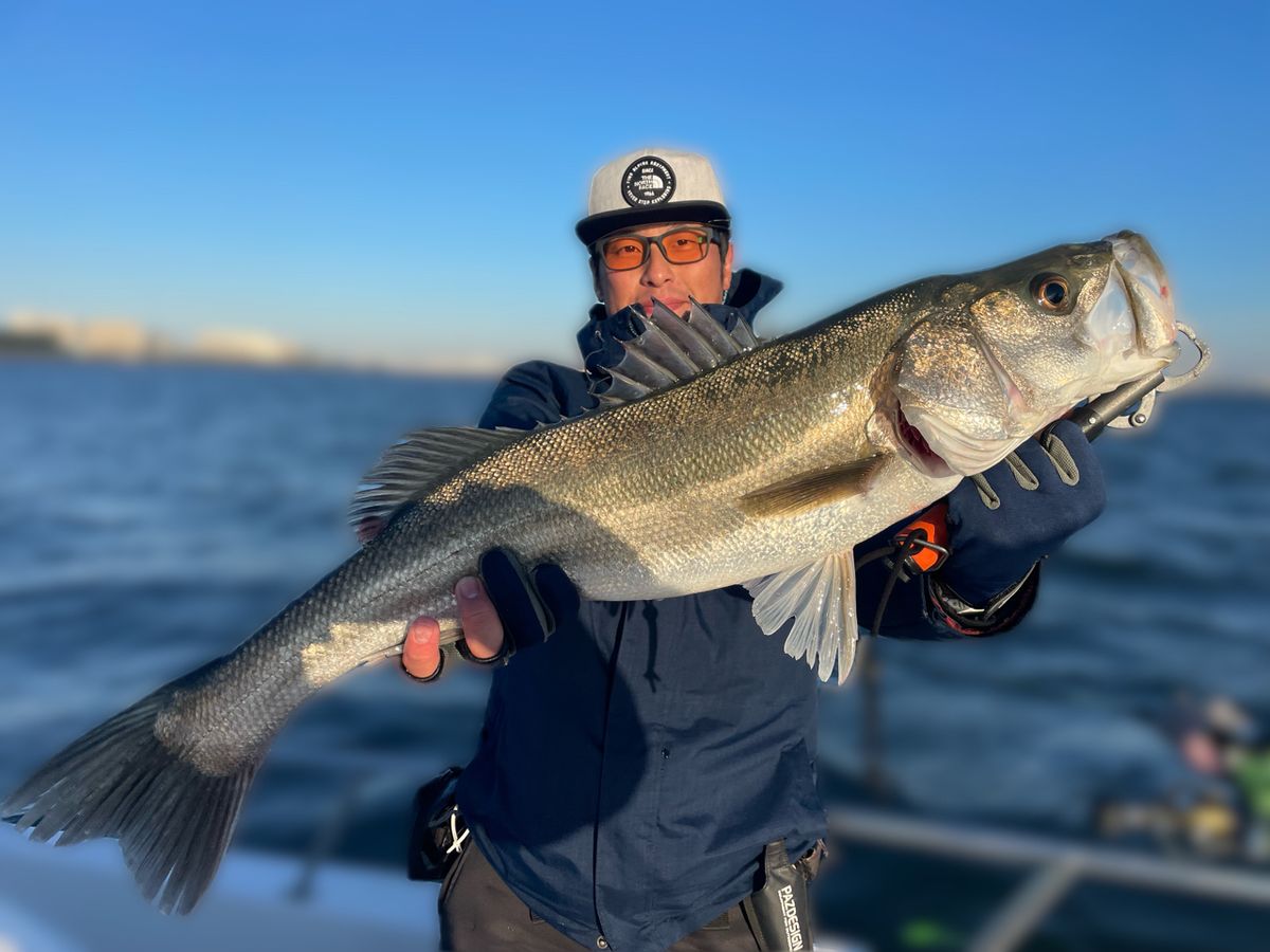 わくわく屋さんの釣果 2枚目の画像