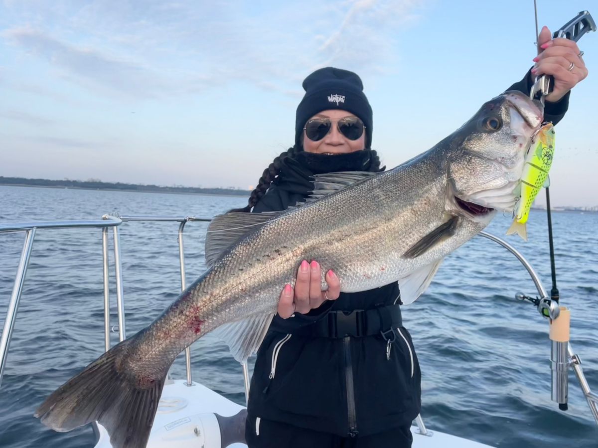 わくわく屋さんの釣果 3枚目の画像