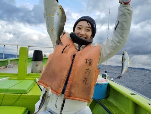 マダコの釣果