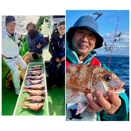 マダイの釣果