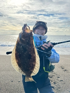 ヒラメの釣果