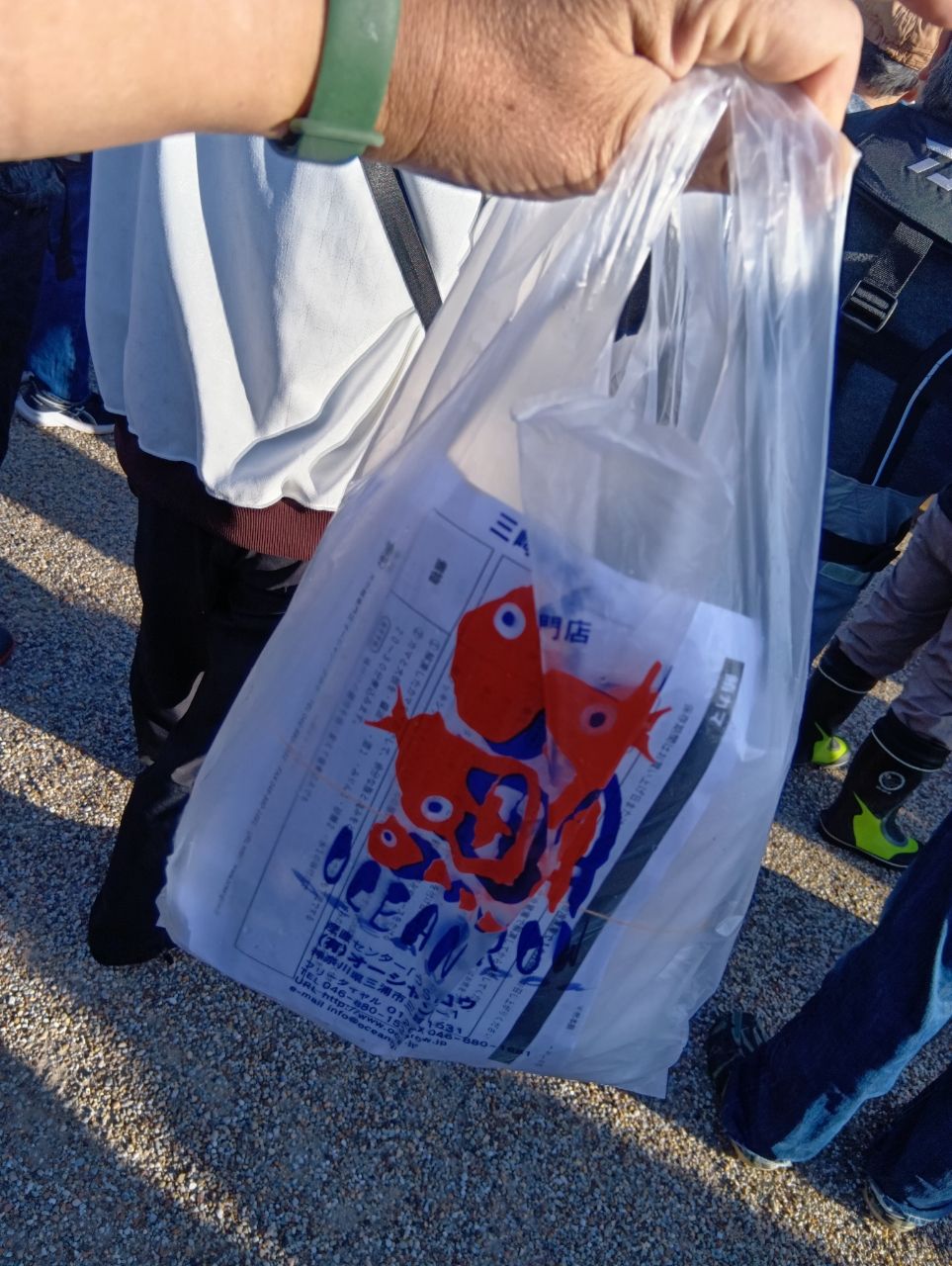 にゃんすけさんの釣果 3枚目の画像