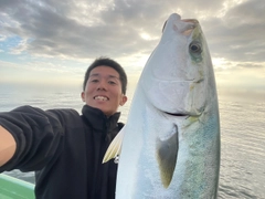 ブリの釣果