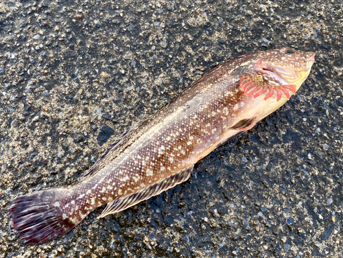 内浦湾（北海道）