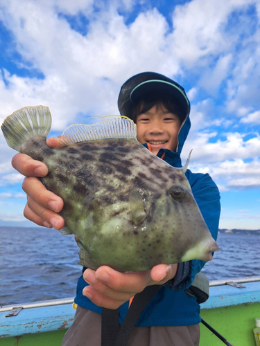 カワハギの釣果