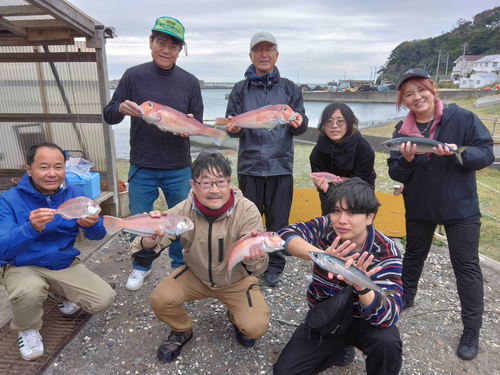 アマダイの釣果