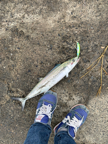 表浜名湖