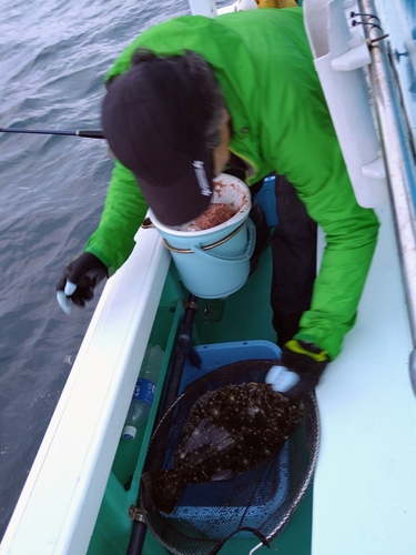 ヒラメの釣果