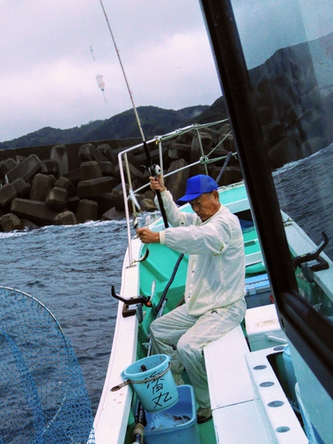 マアジの釣果