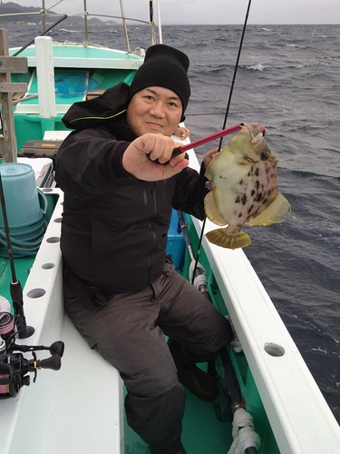 カワハギの釣果