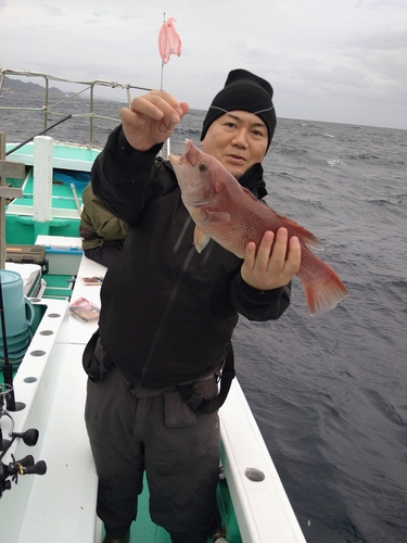 カンダイの釣果