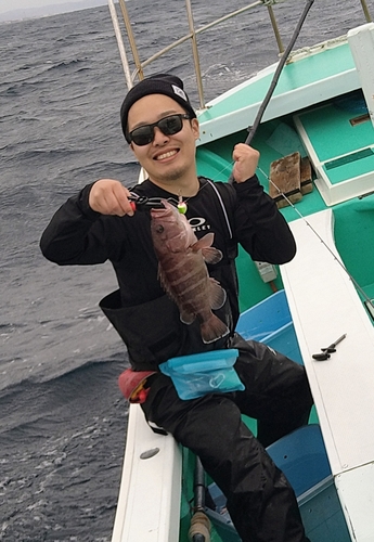 マハタの釣果