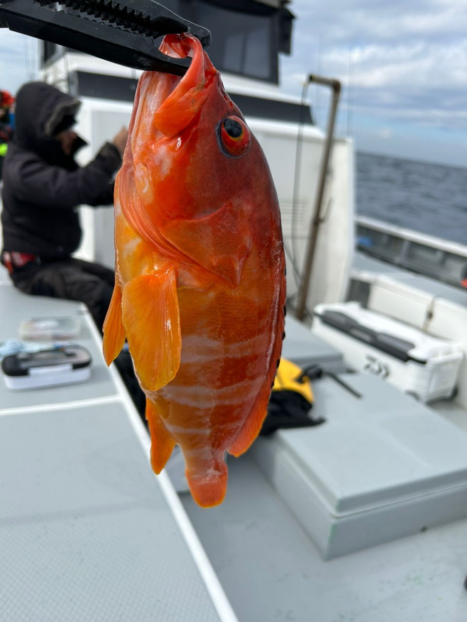 ふな虫さんの釣果 2枚目の画像