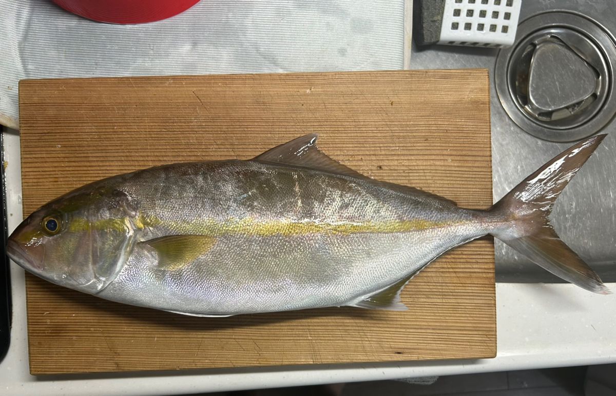 ふな虫さんの釣果 2枚目の画像