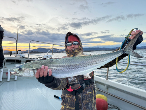 サワラの釣果