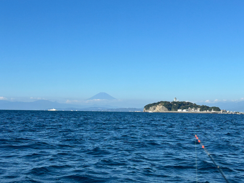 カワハギの釣果