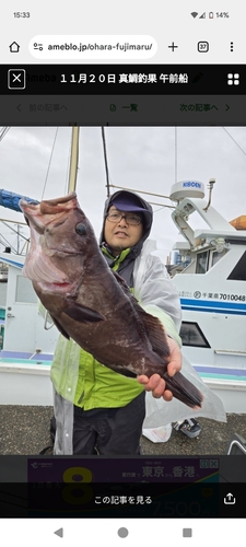 マハタの釣果