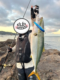 メジロの釣果