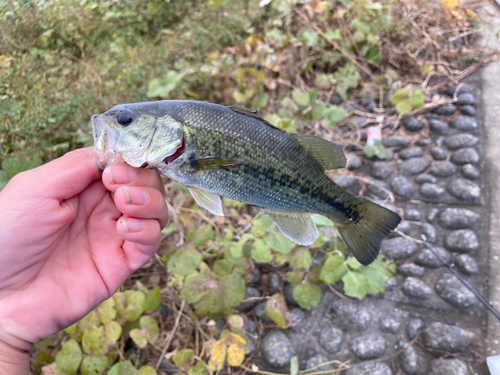 荒川温泉