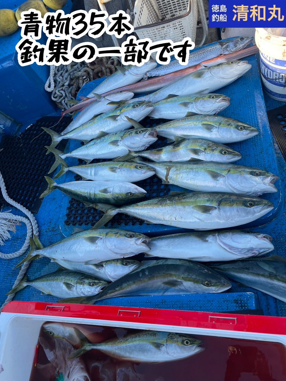 清和丸さんの釣果 3枚目の画像