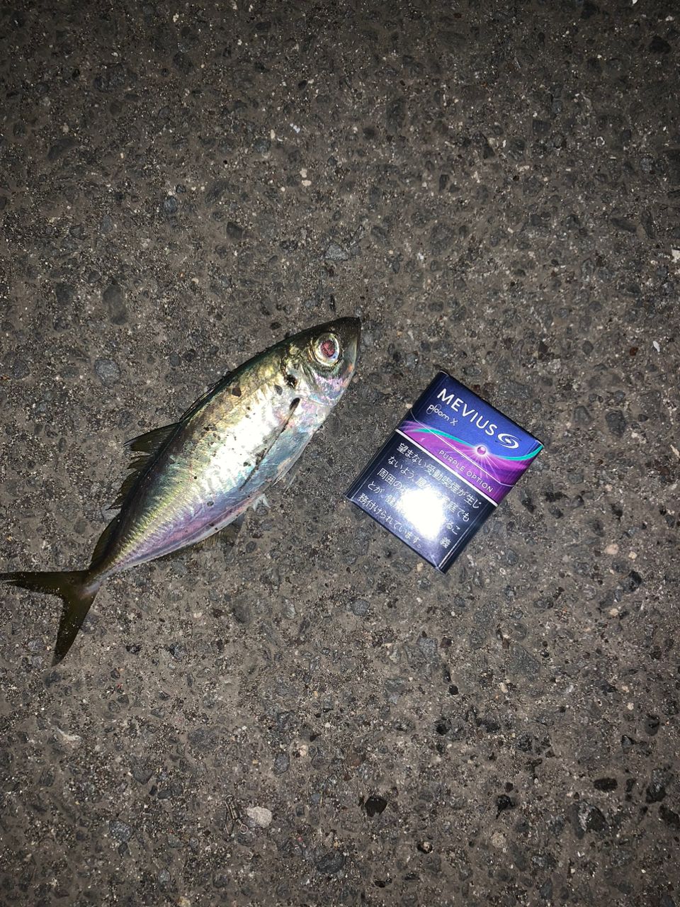 SHIMANO - 18 ソアレSS S76ML-S シマノ(SHIMANO) 18 ソアレ SS S76ML-S 388841｜アウトドア用品
