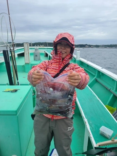 マルイカの釣果