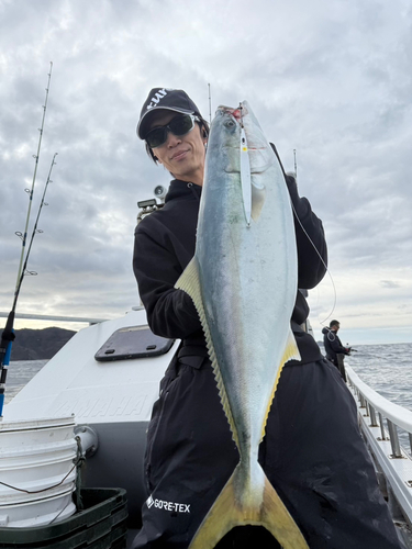 ブリの釣果