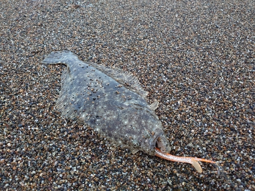 釜谷浜海水浴場