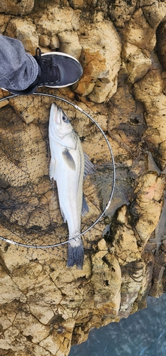 飯田湾