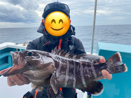 マハタの釣果