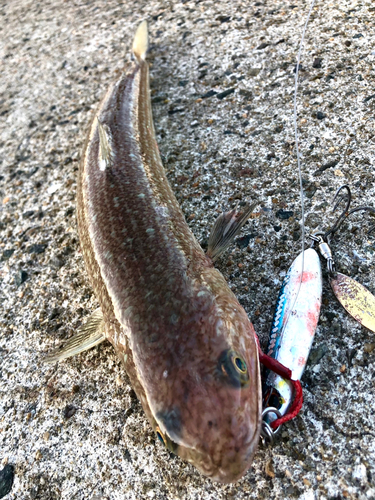 南港魚つり公園